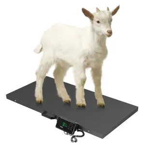TUFFIOM 1100Lbs x 0.2Lbs Postal Digital Shipping Livestock Scale, Electronic Stainless Steel Platform Heavy Duty Vet Animal Floor Scale,Dog Puppy Pig Goat Sheep Scale