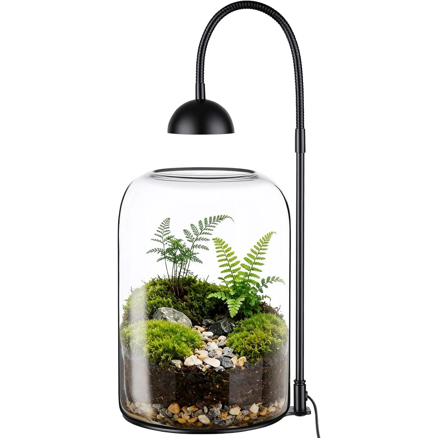Glass Plant Terrarium with LED Grow Light & Adjustable Ventilation, 8.2" Desktop Terrarium for Venus Fly Trap, Moss & Succulents, Borosilicate Indoor Planter for Home Office Decor