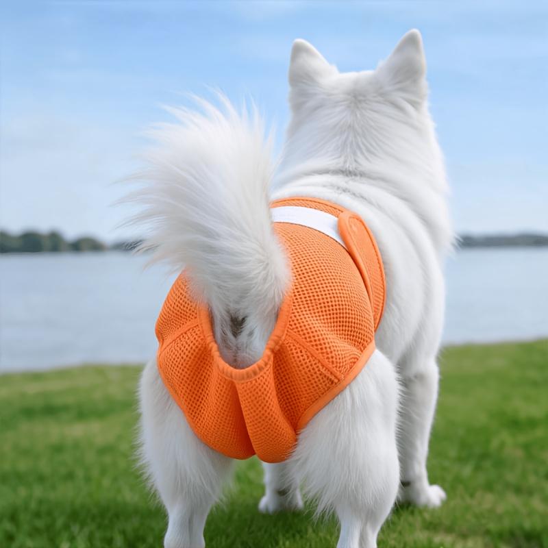 New Pet Female Dog Period Pants in 5 Colors, Comfortable, Leak-proof, and Breathable. Anti-harassment Modesty Pants, Reusable Dog Menstrual Pants, Dog Diapers. Suitable for Small, Medium, and Large Dogs. for All Seasons