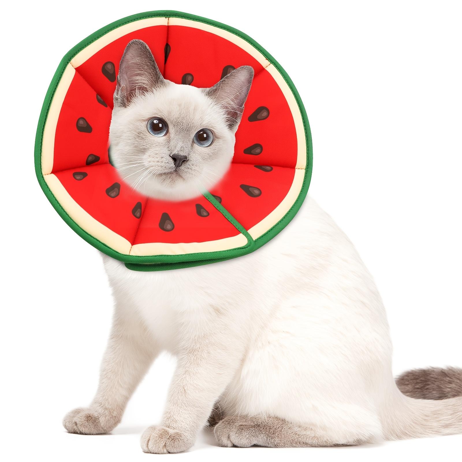 Cartoon Printed Cat Elizabethan Collar, Soft Lightweight Pet Protective Cone with Anti-chew Design, Adjustable Buckle for Post-surgery Recovery