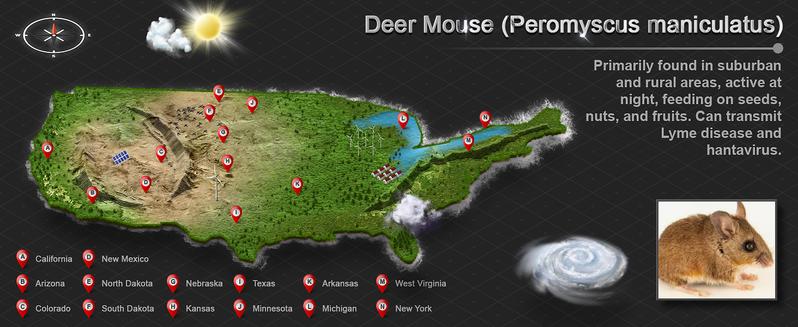 Humane Trap Live Mouse Trap Indoor Catch and Release Animal Cage Multi Large Bait Outdoor Reusable Chipmunk Mice Voles Rodent That Work (1)