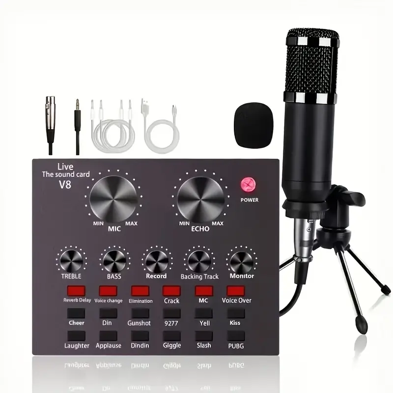 Professional wired dynamic microphone with 6.35mm cable, suitable for karaoke recording: instruments and speakers Live Podcast Equipment
