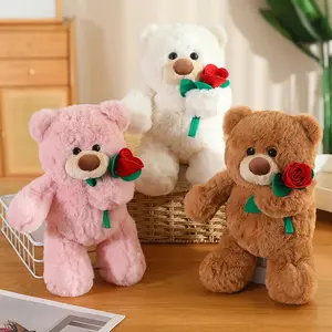 Rose Teddy Bear, Heart-Shaped Bear Doll, Plush Toy, Sleeping Pillow, Valentine's Day Gift for Women