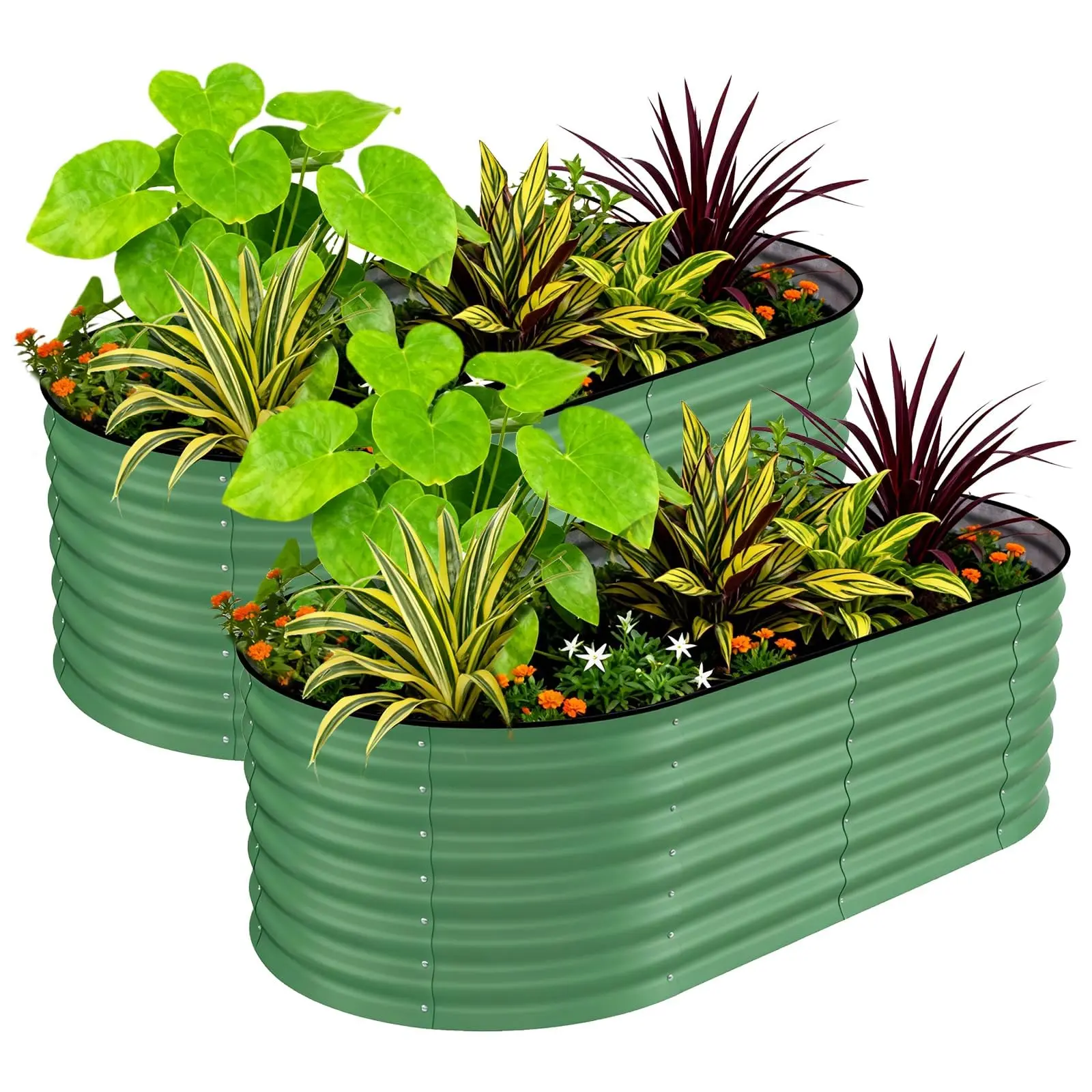 GARVEE 2-Pack Outdoor Oval Shape Raised Beds, 6x3x2 ft Size Galvanized Steel Garden Beds with 0.6mm Thickness, Deep Root, Open-Bottom Design, Anti-Cutting Strips, Rust & Corrosion Resistant, Easy Assembly, Deep Root Support