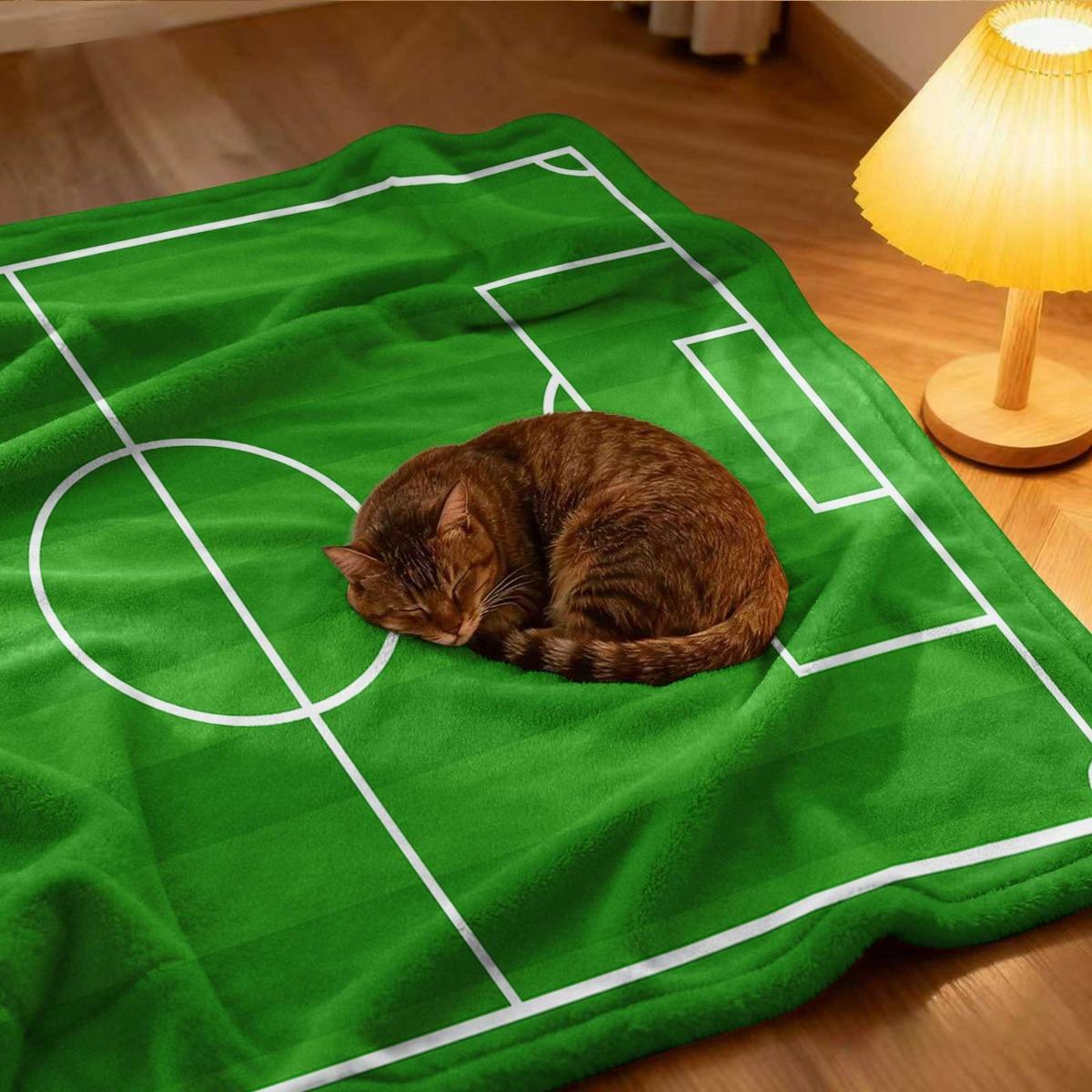 Green Football Field Theme Print Flannel Blanket - Pattern Printed Flannel Blanket - Comfortable Blanket, Soft And Warm, Four Seasons Universal, Suitable For Bed, Sofa, Office And Outdoor Blanket Green Football Field Theme Print Flannel Blanket - Pattern Printed Flannel Blanket - Comfortable Blanket, Soft And Warm, Four Seasons Universal, Suitable For Bed, Sofa, Office And Outdoor Blanket