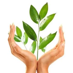 Outdoor Galvanized Raised Garden Bed, 4ft Oval Silver Planter for Veggies, Flowers & Herbs - Rot Resistant