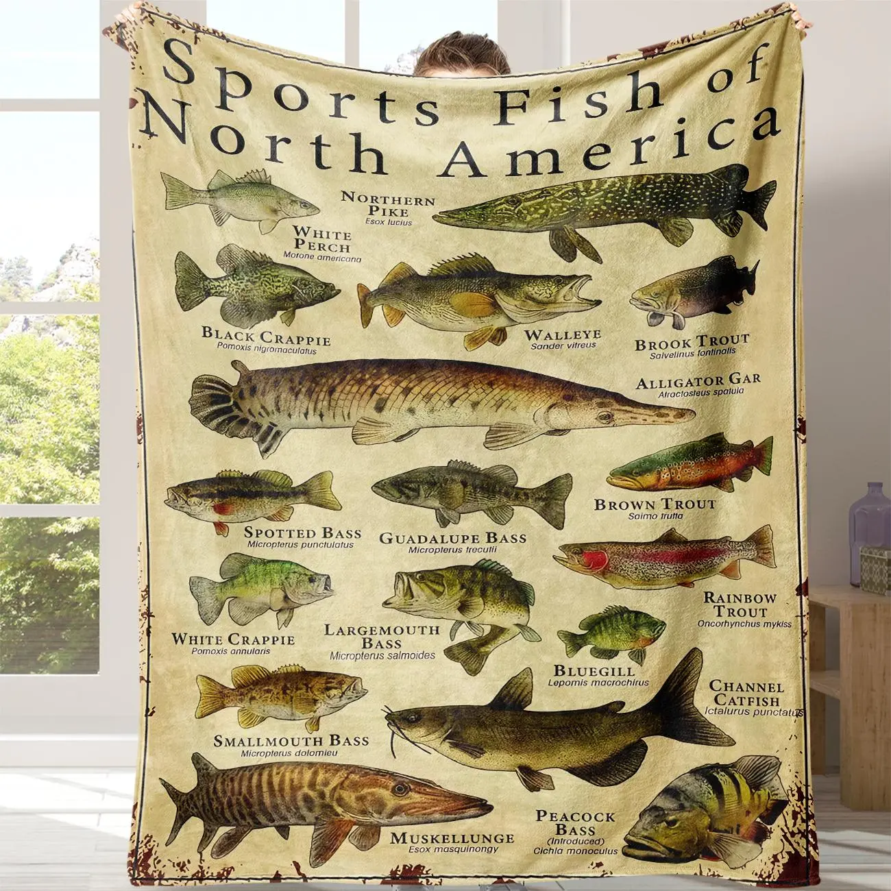 Fish Pattern Flannel Blanket Soft Warm Nap Blanket Comfortable Warm Throw for Air-Conditioned Rooms Home Office Travel Camping GLOBAL PICKS
