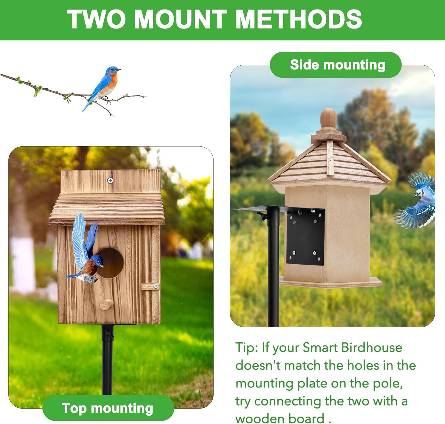 Bird Feeder Pole,Bird House Pole Mount Kit with Squirrel Proof Baffle for Bird Watching Buddy Pole,93 Inch Adjustable Mounting Support Stand for Outdoors