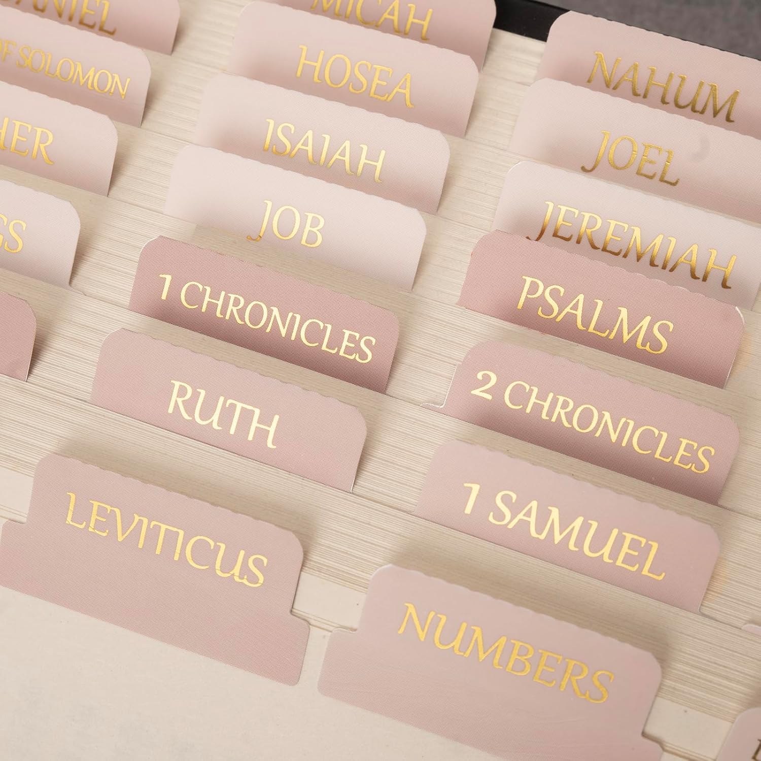 Laminated  Tabs,  Foil Large Print Lettering, 75 Tabs  Study Journaling Supplies, Christian  for Women and Men, She Reads Truth  ()