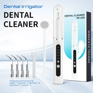 2026 New Electric Dental Oral Care Kit with LED Light, 5-Mode Adjustment, 4 Brush Head Accessories, Maintains Oral Cleanliness And Care, Suitable for Home Use, Mother's Day/Father's Day, Birthday Parties