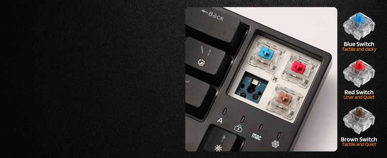 LTC NB681 Nimbleback Wired 65% Mechanical Keyboard, RGB Backlit Ultra-Compact 68 Keys Gaming Keyboard with Hot-Swappable Switch and Stand-Alone Arrow/Control Keys (Hot Swappable Red Switch, Black)