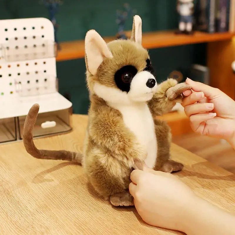 24cm Unisex Simulation Wild Lemur Soft Plush Toy - 100% New High-Quality PP Cotton Filled, Kids' Gift, Baby Accompanies Pillow (0.5-2cm Size Difference May Occur), 0.5-2 Cm Differences