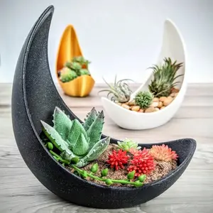 Moon Design Planter, Decorative Flower Pot for Succulents & Home Ornament Plant Pots, Flower Planters