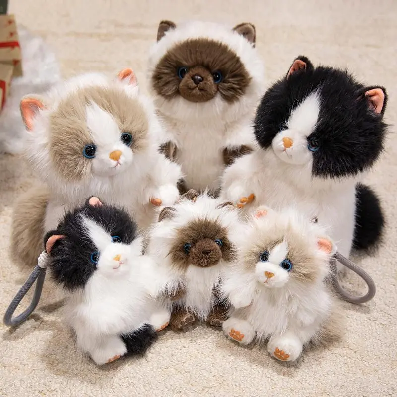 High Quality Lifelike Aroma Ragdoll/Siamese Kitten Plush Dolls - 15cm Pendant/25cm Doll, Unisex Hanging Animal Toy Bags, Cuddly Kids Gift, Classic Stress Relief Toy, 15/25 Cm
