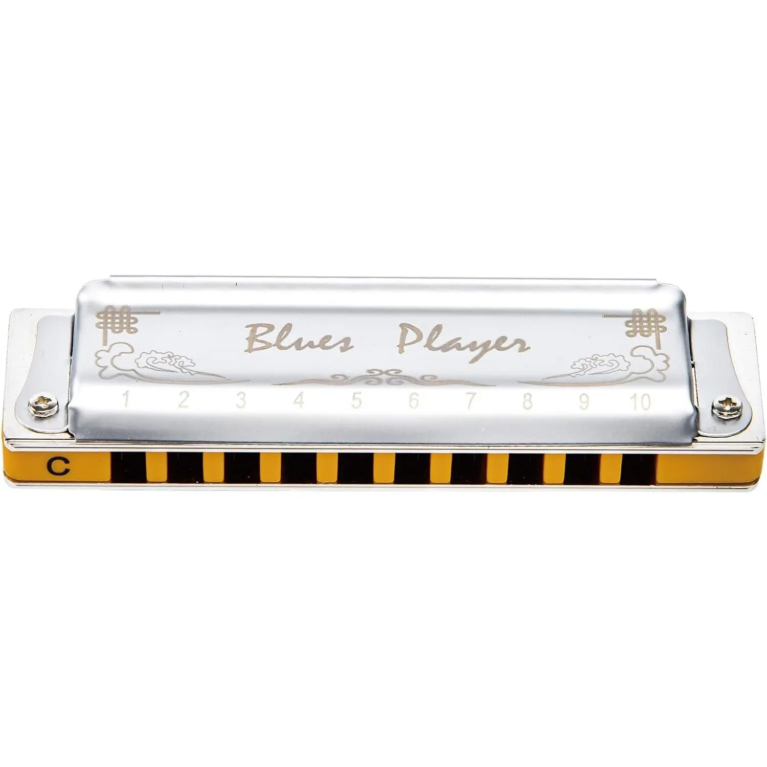 Upgrade Diatonic Blues Harmonica,10 Hole Diatonic harmonica,Blues Player 2.0 Mouth Organ Harmonica, Deluxe Harmonicas For  Levels, Professionals and Students