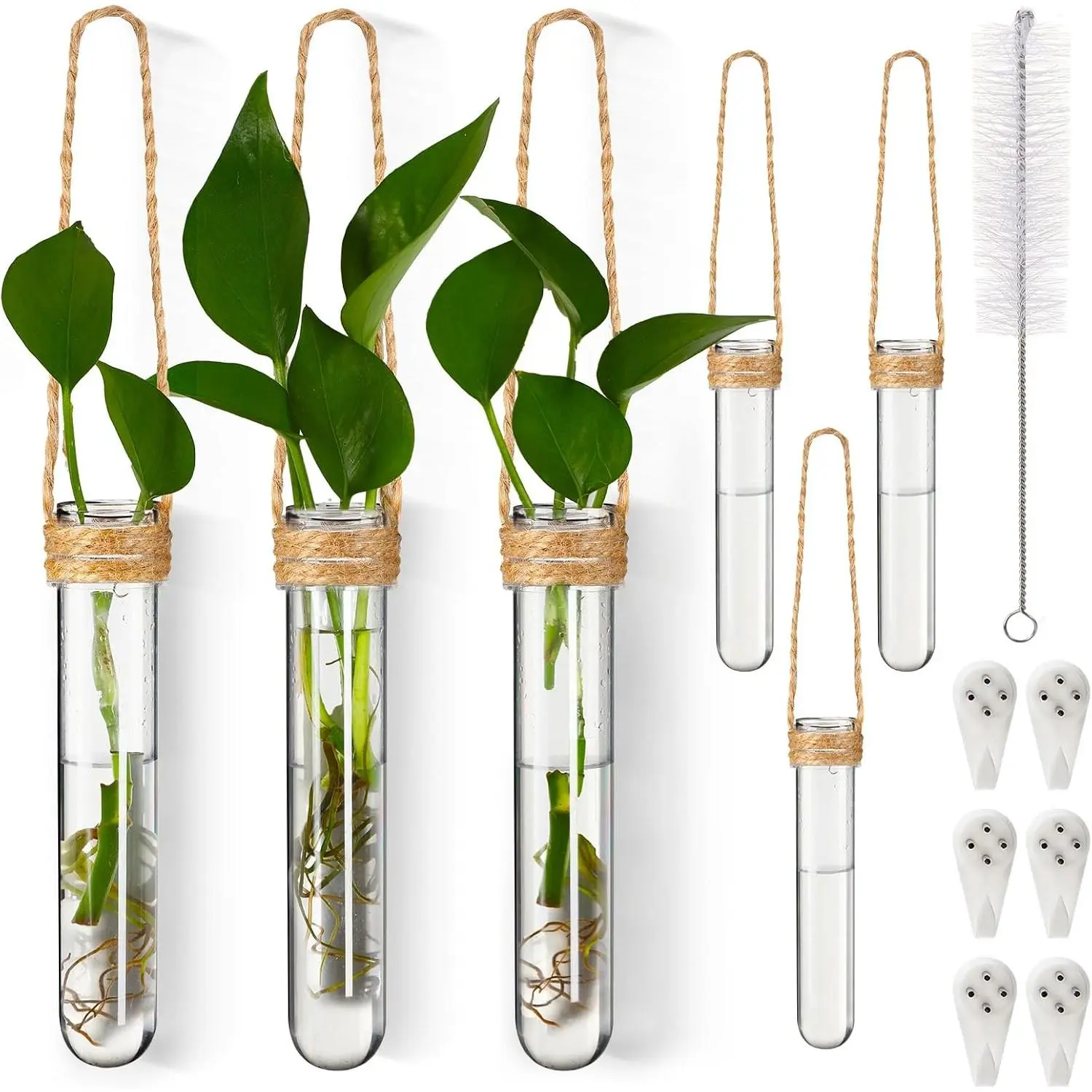 6 Pack Plastic  Propagation Vases Wall Planters   Propagation Station Flower Vase for Hydroponic Office Garden Flower Decor Lover  ( Color)