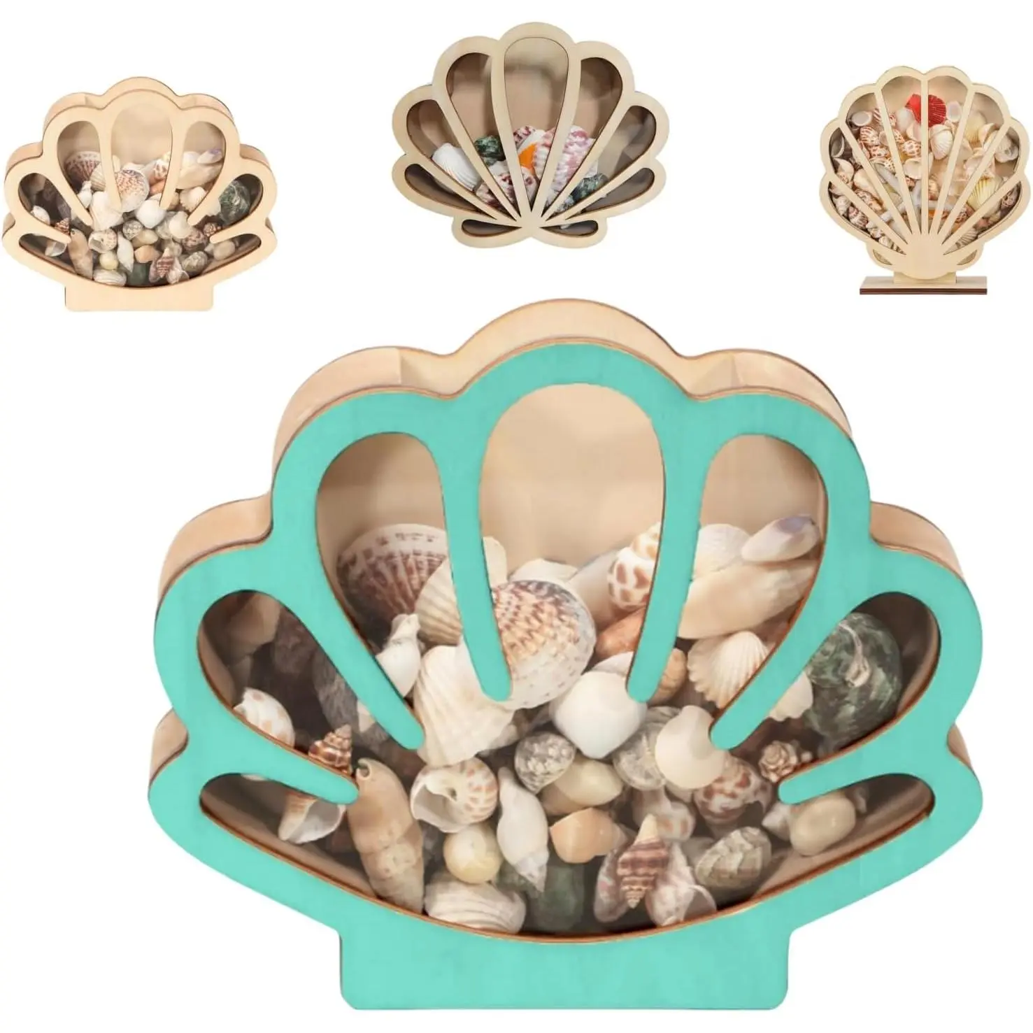 Wooden Seashell Display Case with  Panel - Storage Box for Shells, Sea Glass, Starfish &   Collection