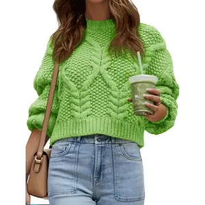 Aoysky Women's Cable Knitting Long-Sleeve Round Neck Chunky Puff Loose Windproof Fitted Basic Sweater, Casual Fall Pullover Clothes