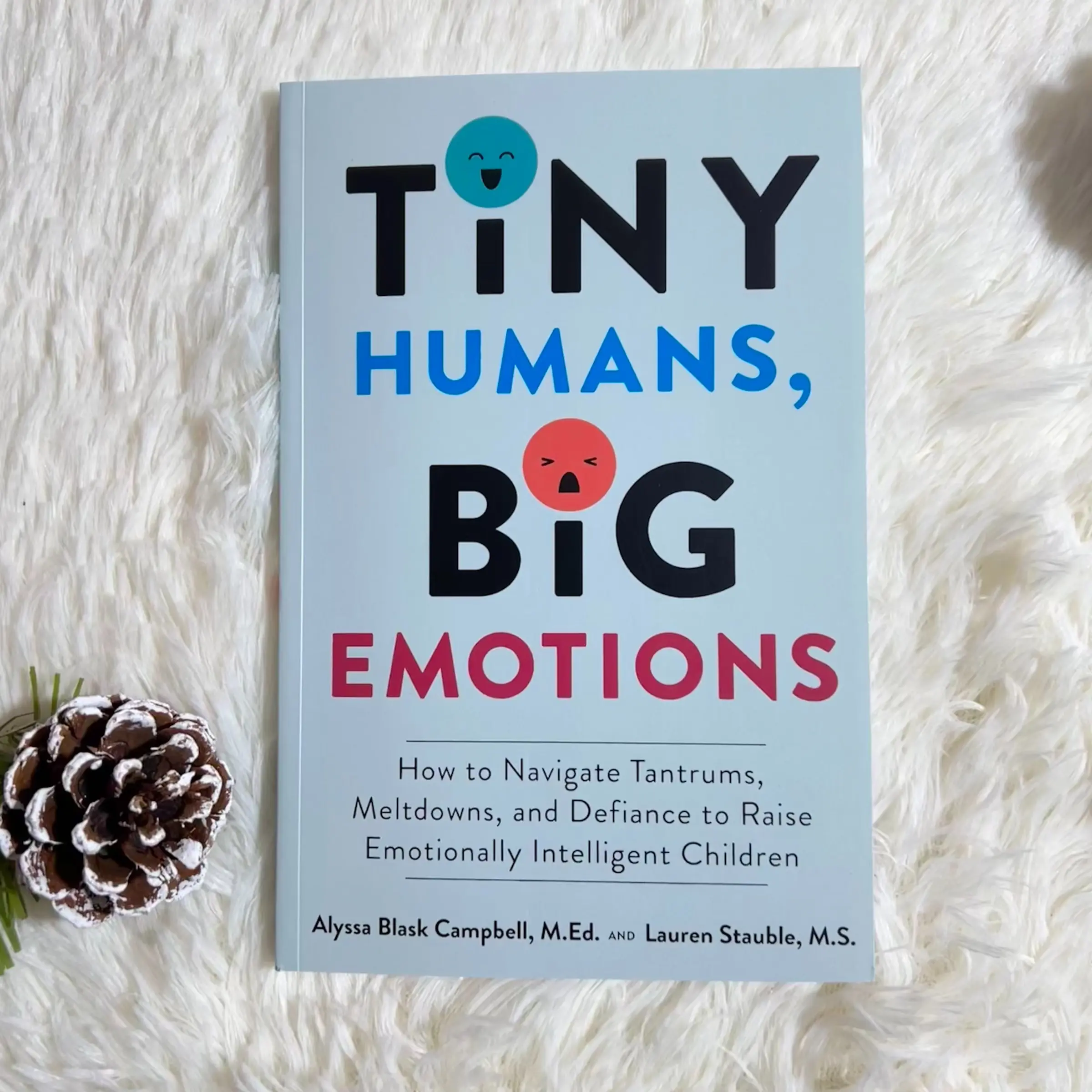 Emotional Management Guide for Adult Educators, How to Raise High Eq Kids, Parent/educator Handbook for Developing Emotional Intelligence