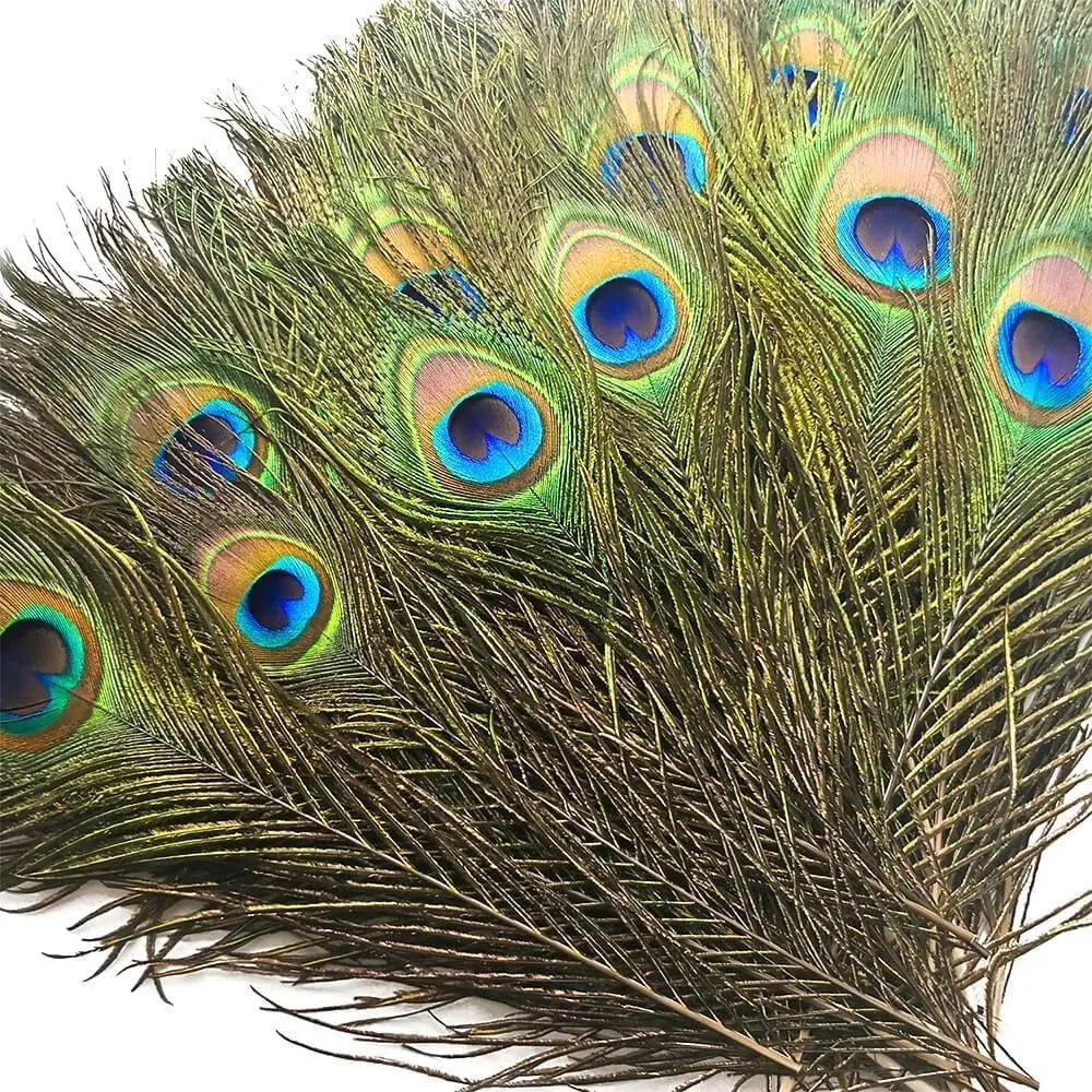 Piokio 50 Pcs Bulk Peacock Feathers, 10-12 inch | For DIY & Craft, Vase & Wedding Decoration, Home Party & Christmas