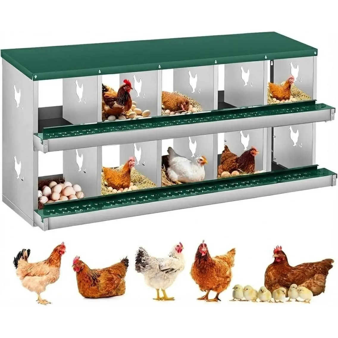 10-Compartment Two-Tier Steel Chicken Nesting Box with Vented Holes and Wall Mounting for Easy Egg Collection