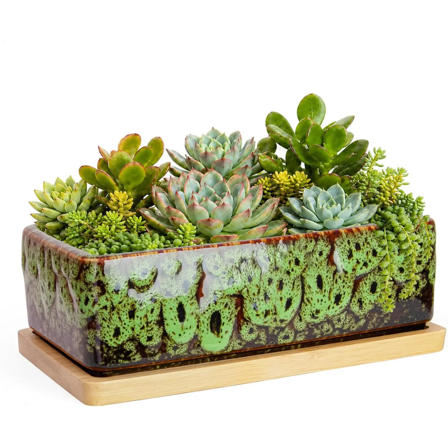 Succulent Pots - 7 Inch Large Succulent Planters with Drainage Tray, Window Sill Planter, Long Rectangle Ceramic Pots for Indoor Cactus  Shallow Bonsai Window Box for  Garden Decor