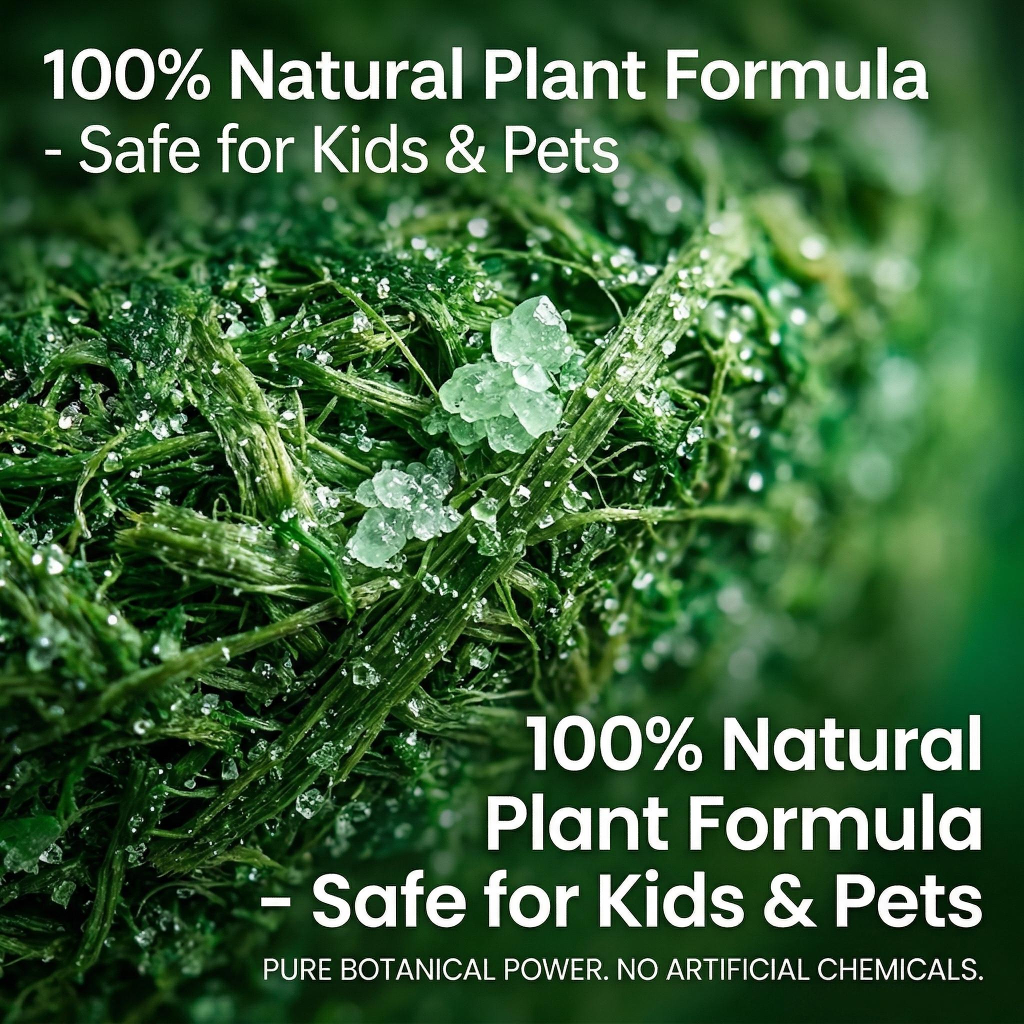 12 Pack Natural Rodent Repellent Balls – Peppermint & Lemon Oil Pest Deterrent for Rats, Mice, Squirrels, Spiders, Indoor & Outdoor Protection