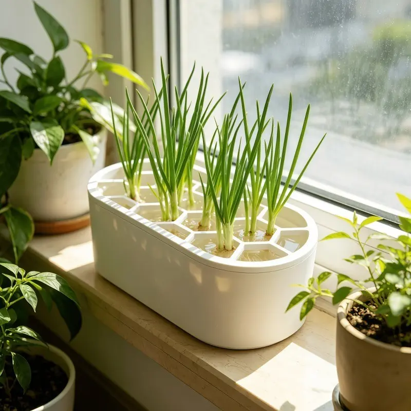 Indoor Onion Seedling Transplant Kit, Hydroponic Container, Soilless Indoor Growing, Space-Saving Solution, Ideal for Small Homes and Onion Enthusiasts