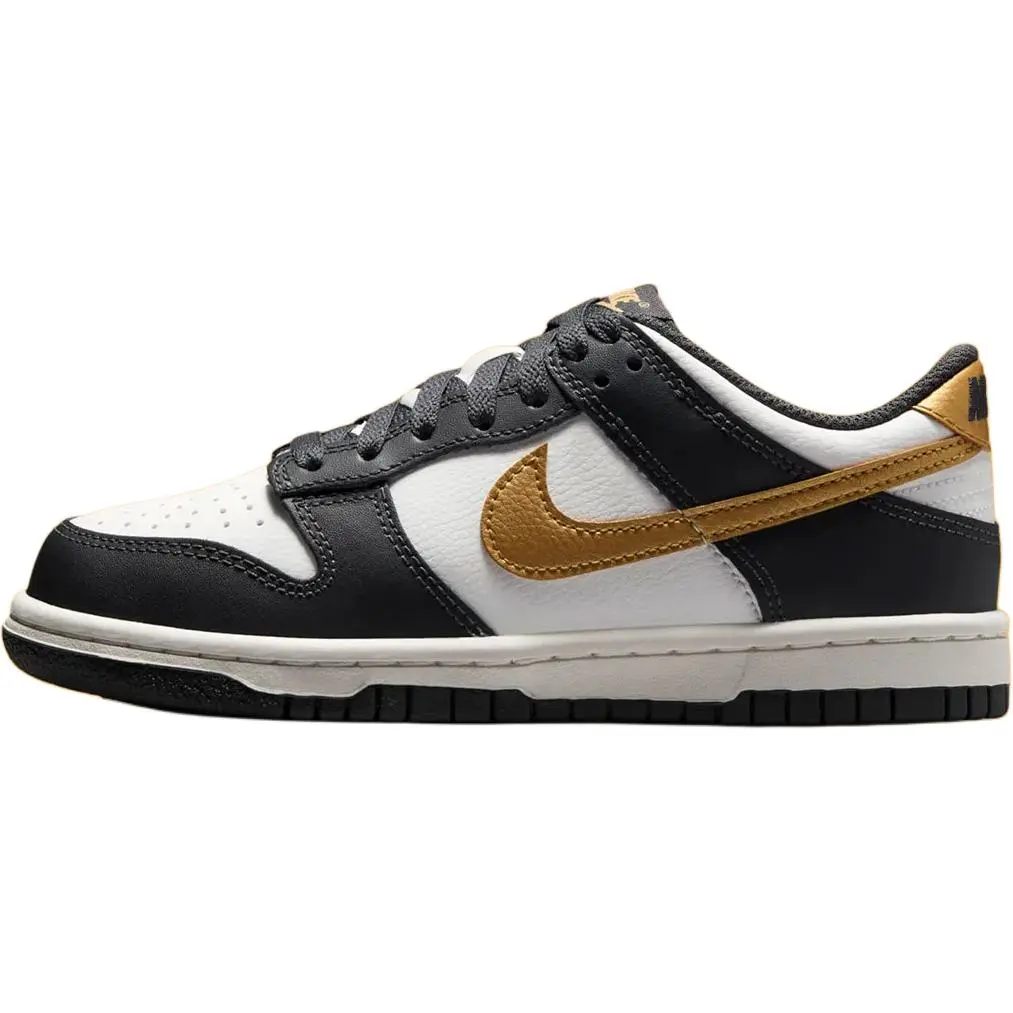 Nike Dunk Low GS 'Anthracite Metallic Gold' HV2533-100