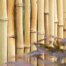 Natural Bamboo Slat Screening, Eco-Friendly Privacy Slat Fence, Bamboo Screen Panel Roll for Balcony or as Wind and Sight Protection (1.2m x 4m)