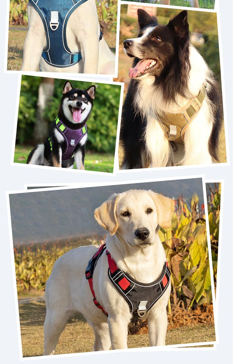 Ditch the Slip-Ups with Flimsy Harnesses! All-in-One Heavy-Duty Dog Harness |   Tear & Pull-Resistant, Ultra-Secure for Big Dogs