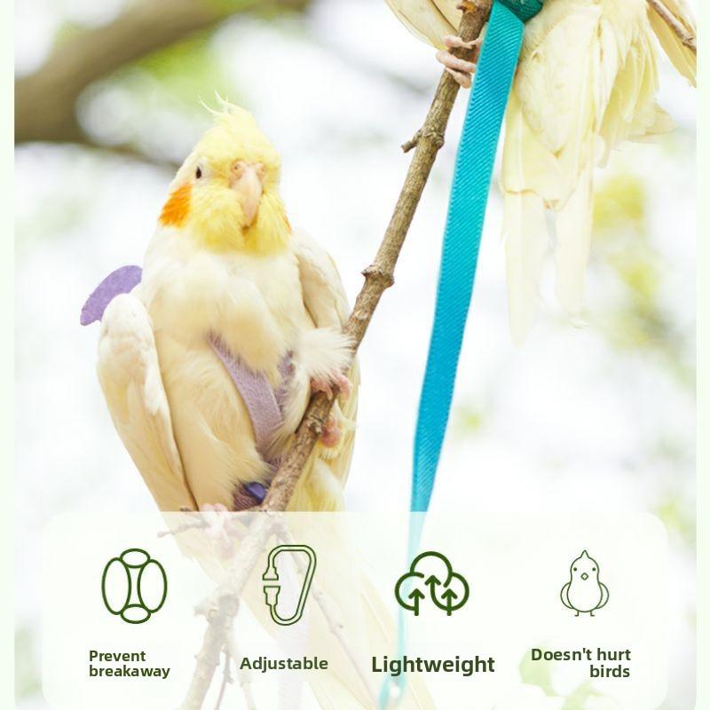 Adjustable Bird Harness Leash 2m Hand Rope Safe Escape Proof for Parrots Conures Cockatiels Outdoor Training Walking Pet Supplies Adjustable Bird Harness Leash 2m Hand Rope Safe Escape Proof for Parrots Conures Cockatiels Outdoor Training Walking Pet Supplies