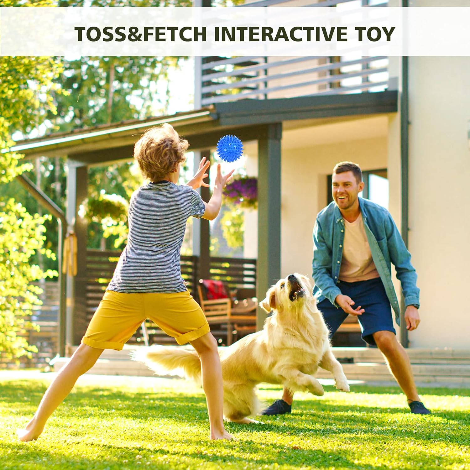 Balls, 3-Pack Squeaky, Floating, Spiky, Interactive Fetch,  for Small Medium and Large Dogs, , 2.5/3.5in