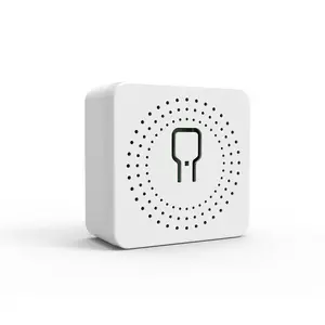 Cozylife WiFi Smart Switch, Dual Control Voice Control, Remote Control, Home Automation, Only Supports 2.4g Network, 1pc