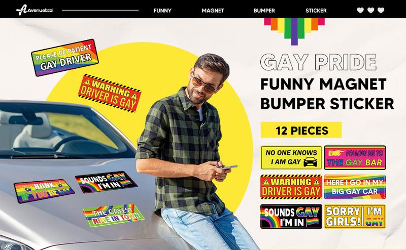 12 Pcs Gay Pride Funny Magnet Bumper Sticker LGBT Rainbow Pride Prank Magnetic Sign for Vehicle Truck Reusable Magnet Sticker for Fridge(Classic)