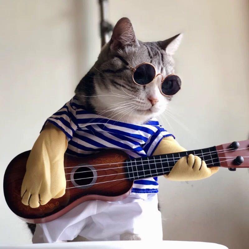 Dog Cat Pet Sunglasses Creative Trendy Sunwear Cute Accessories Mini Eyewear for Small Animals Adjustable Fit Summer Outdoor Play