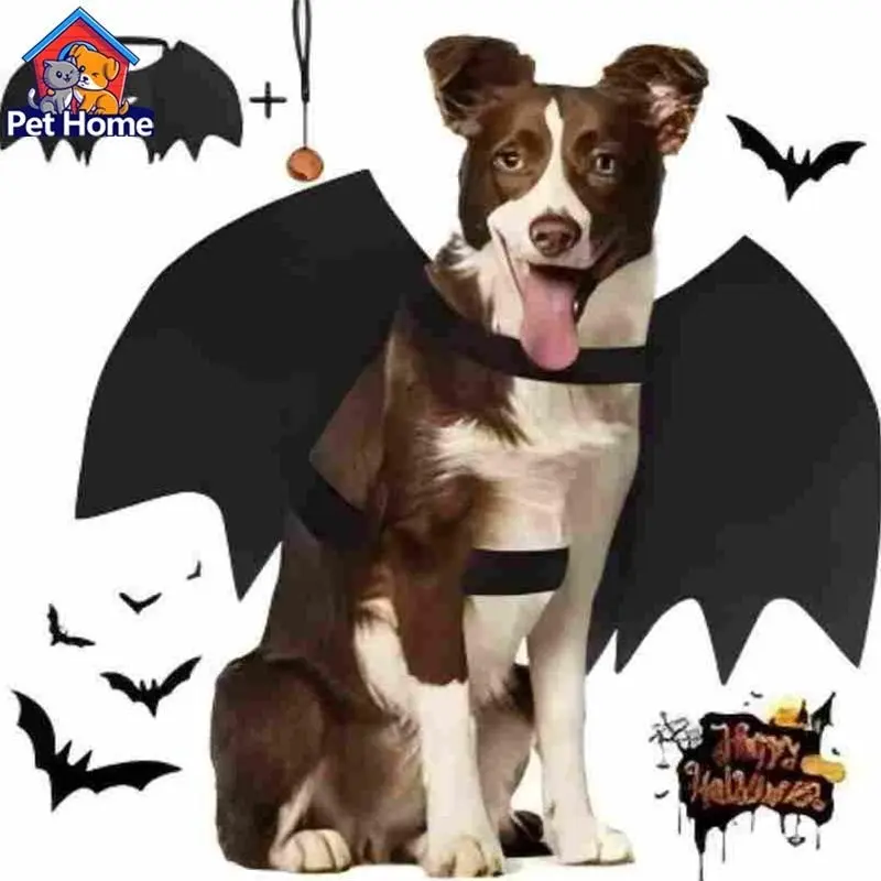 Halloween Pet Costume Bat Wings, Cat Clothes, Dog Apparel, Fun Halloween for Pets, Easy to Wear, Perfect for Parties