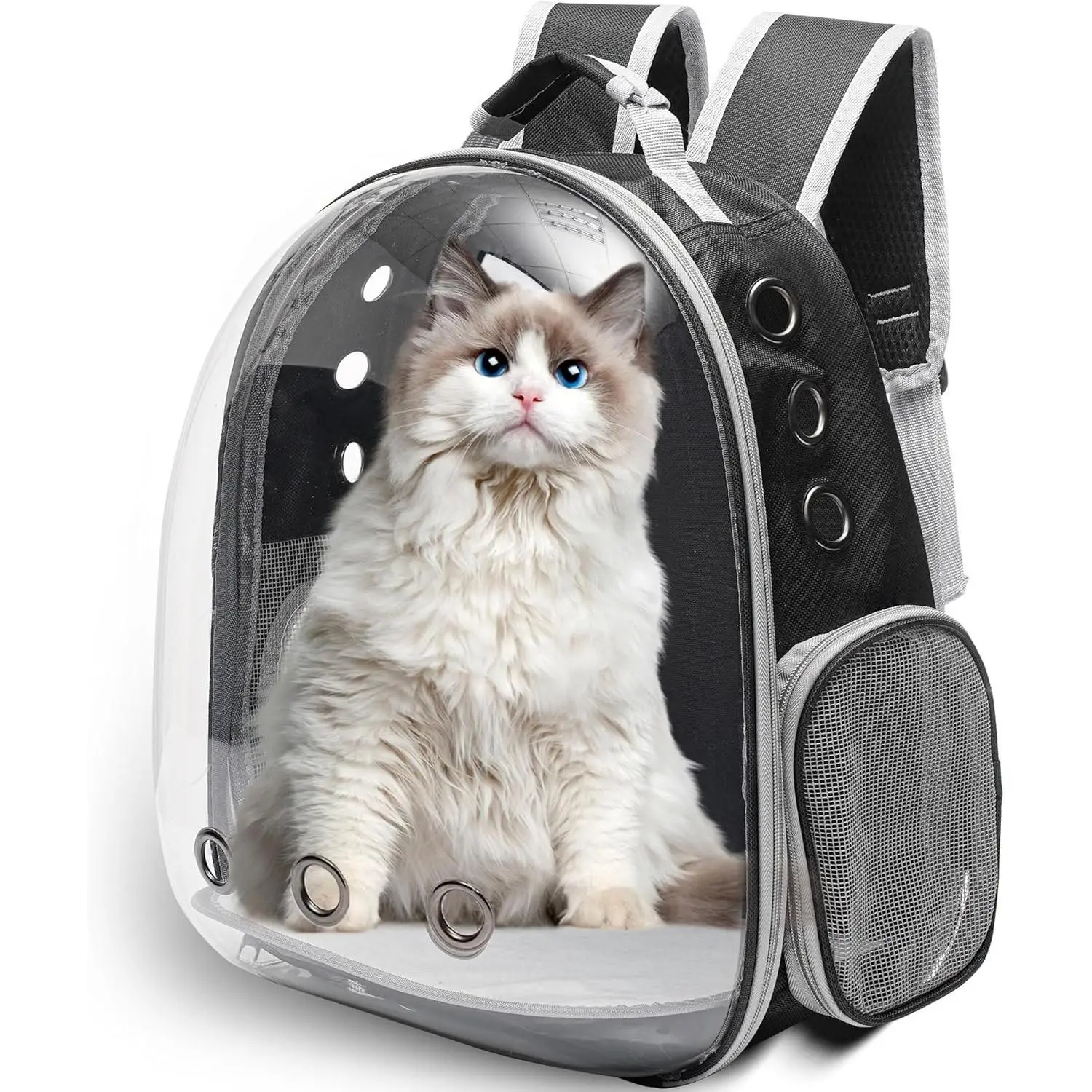 Large Cat Backpack Carrier for Travel and Hiking Transparent Pet Bubble Backpack for Cats up to 20lbs with Ventilation and Padded Straps Mochila para Gatos transportadora mascotas (Black)