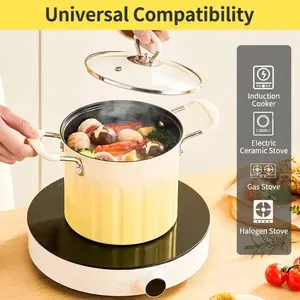 Multi-purpose Deep Fryer Pot with 304 Stainless Steel Fry Basket, Non Stick Small Frying Pan with Lid Anti-Splash Deep Body, Universal Stovetop Mini Cookware for French Fries Chicken Noodles Oden