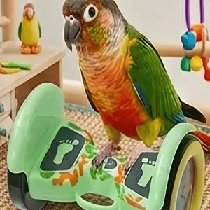 Parrot Hoverboard Toy, Mini Interactive Training Roller Skates, Non-Slip Pads, Fun Gift for Budgies, Roosters, Conures, 5.0 Stars Rating