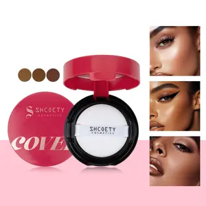 All-in-One Compact Cushion Foundation with Mirror and Powder Puff, Smooth Bare Skin Feeling Matte Cushion, Sweat Resistant Daily Touch Up Foundation for Various Skin Tones
