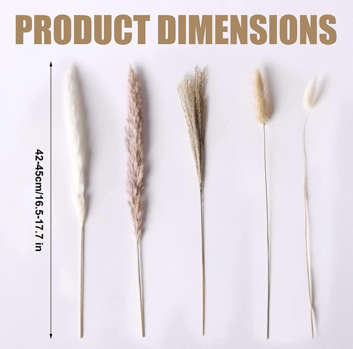 100 Pieces Of Bohemian Reed Grass, Naturally Dried Reed Grass, Wedding Decoration, Home Decoration, Bohemian Party Decoration, Table Decoration, Brown And White Color