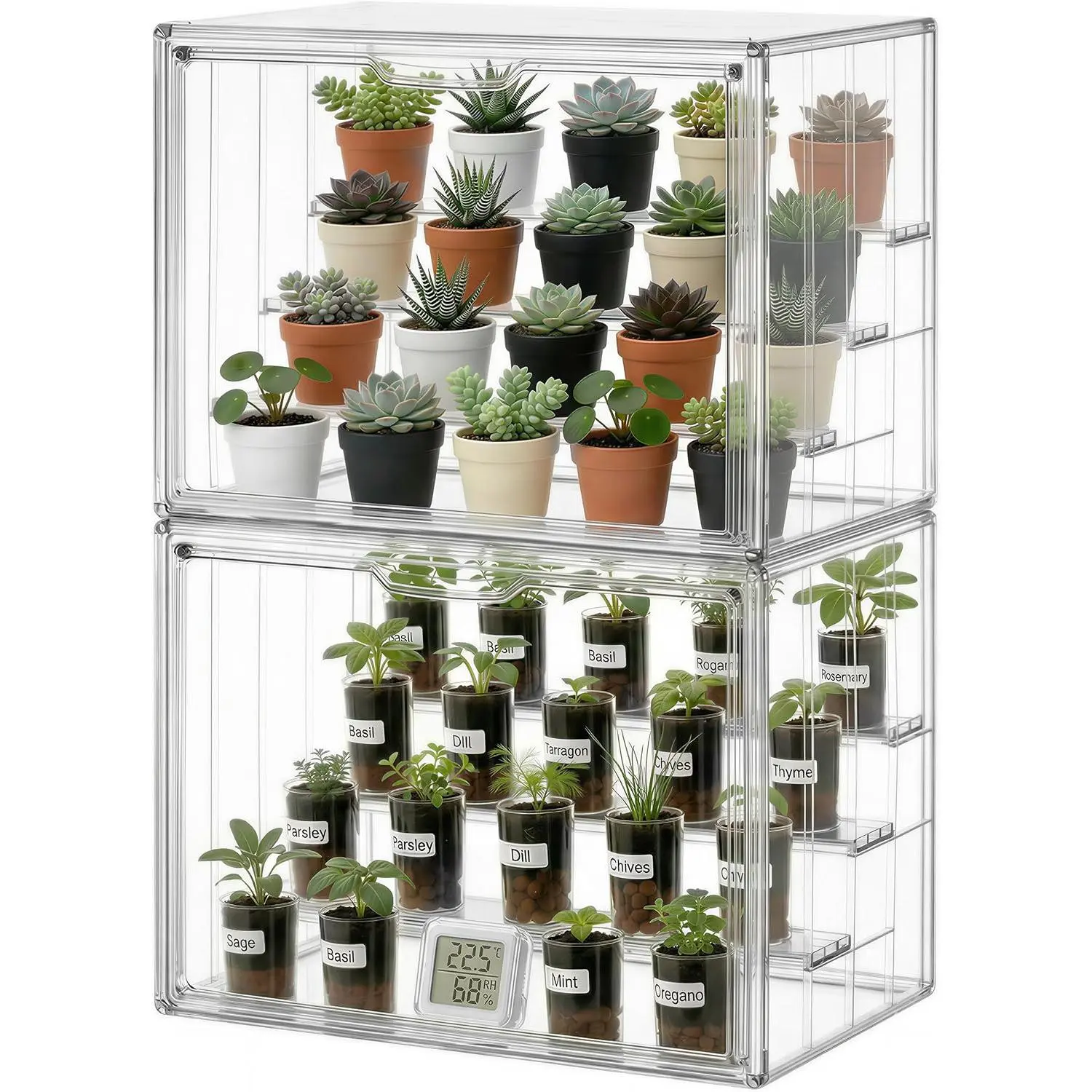 Mini Greenhouse for Indoor, Clear Stackable Green House with  Door & Adjustable Drainage Dividers, Tabletop Portable Greenhouse for Small   Germination and Display, 1 Pack