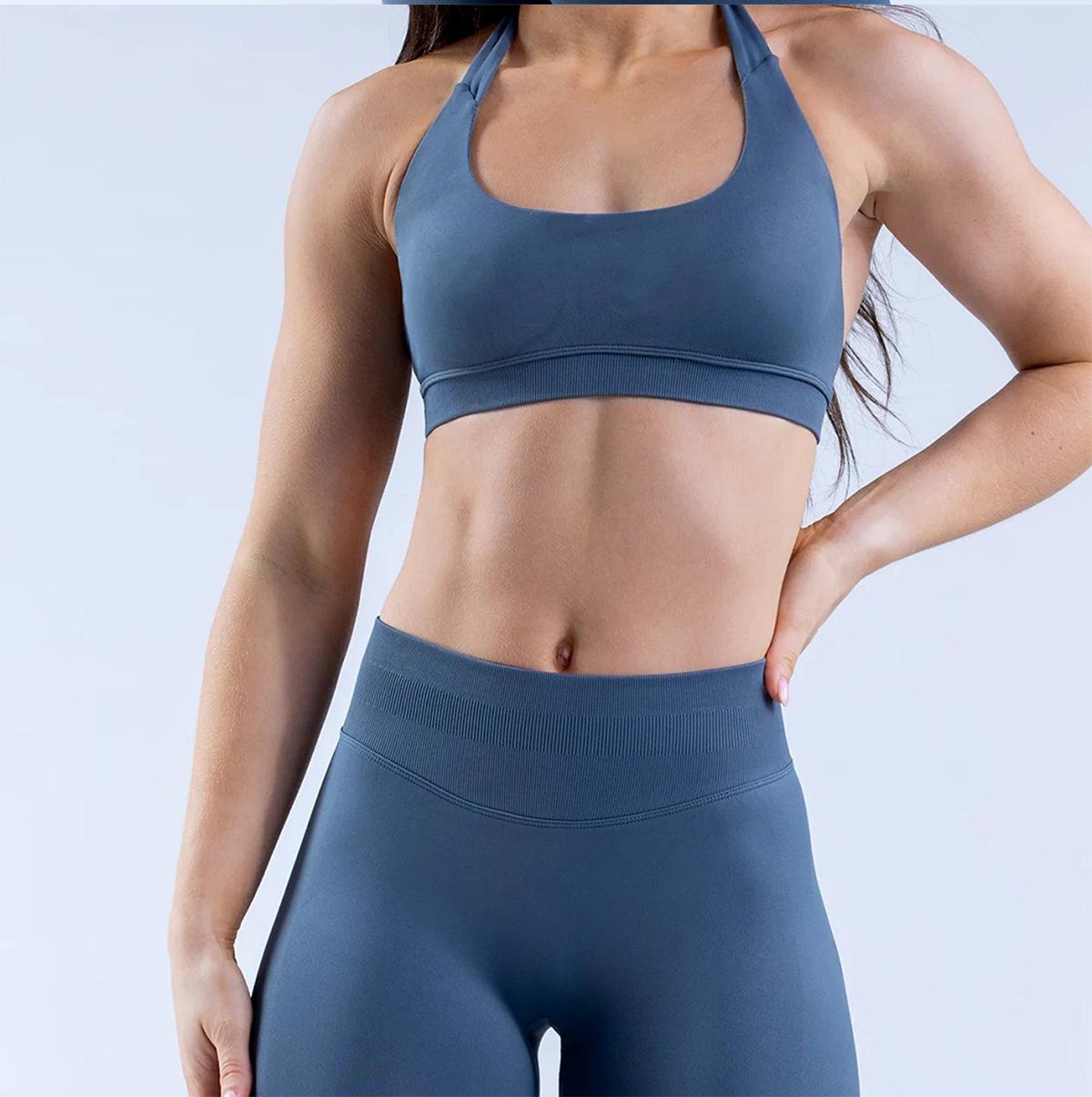 Seamless High Stretch Halter Sports Bra, Ultra Soft Matte Nylon Backless Criss Cross Workout Bra for Yoga Fitness