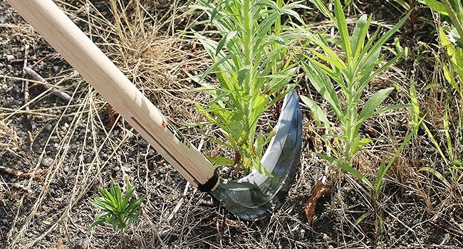 Japanese Sickle Long Handle 45" [Triple Edged Blade] Grass Sickle Stand Up Tool, Japanese Carbon Blade, Japan