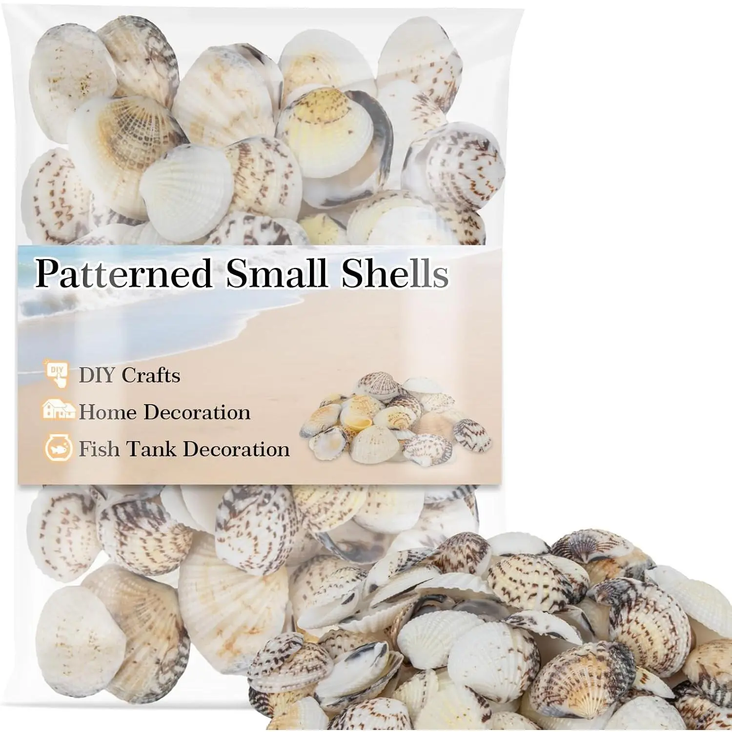 60 Pcs Natural Patterned Clam Shells 0.8-1.2 in | Assorted Tiny Seashells Bulk for Crafts, Beach Decor, Vase Filler, DIY Projects & Fish Tank DecorationGift