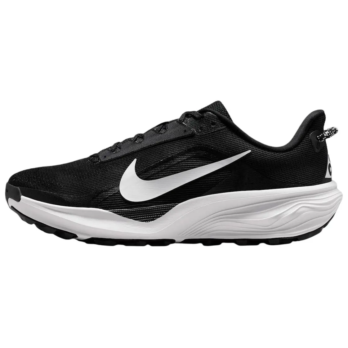 Nike ACG Pegasus Trail 'Black Anthracite' HV8116-001