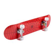 Skateboard for Beginners, Standard Complete Skateboard 31 Inch Double Kick Concave Deck with 7 Layer Maple Wood, Smooth Wheels & Bearings