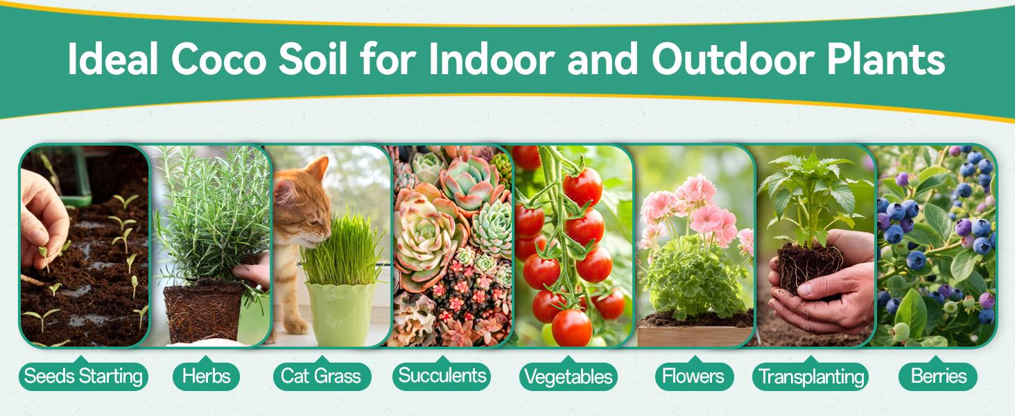 50 Pcs 30mm Organic Coco Coir Pellets for Seed Starter, Compressed Coir Potting Soil for Planting, Soil for Indoor Plants Herbs Flowers Vegetables 50 Pcs 30mm Organic Coco Coir Pellets for Seed Starter, Compressed Coir Potting Soil for Planting, Soil for Indoor Plants Herbs Flowers Vegetables