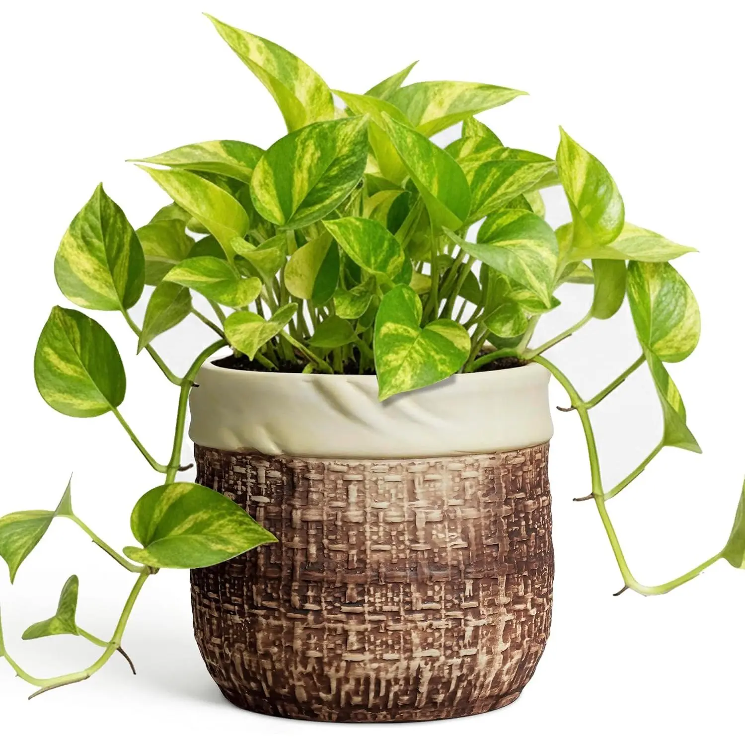 6 Inch  Pot - Ceramic Pots for  with Drainage Hole and Plug,   Pots for Indoor Outdoor , Round Planter, Room  Decor, Gifts for  Lovers, Brown